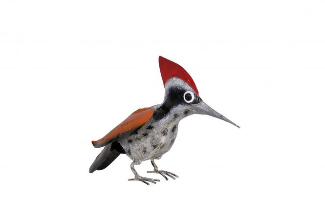 Hovedbilde  Fugl, Hakkespett, grå/oransje
