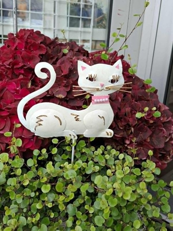  Hagestang, Kitty katt