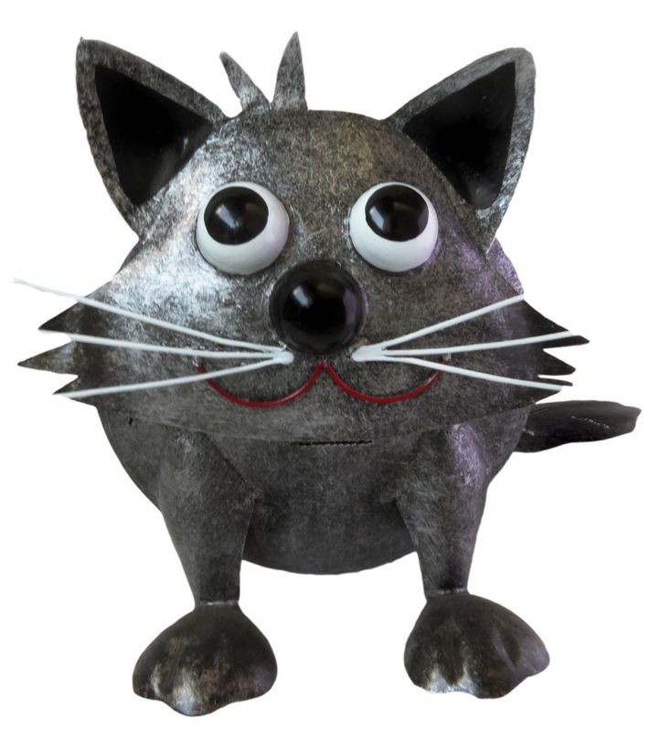 Bolle Katt